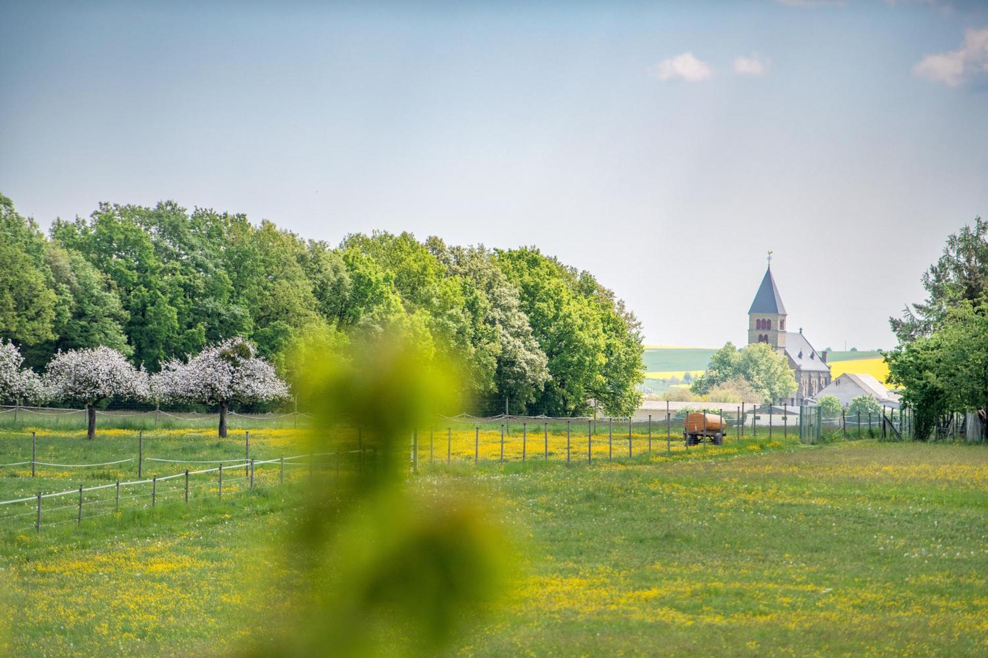 Waldesblick, Hotel-Restaurant Lahr  Kültér fotó